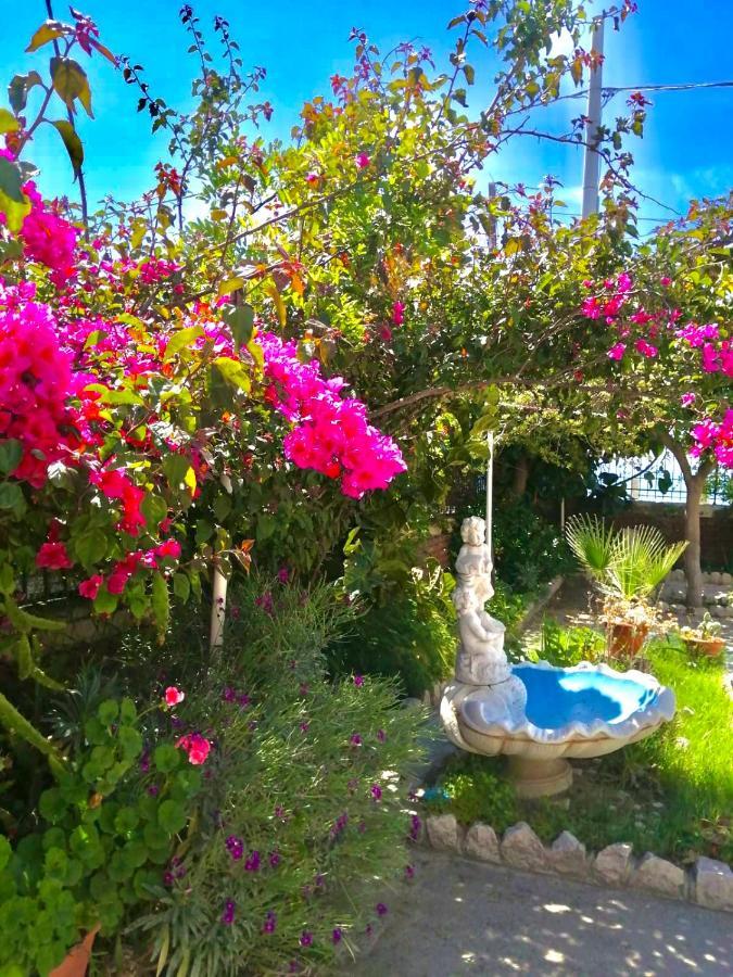Villa Tripepi Bova Marina Ngoại thất bức ảnh